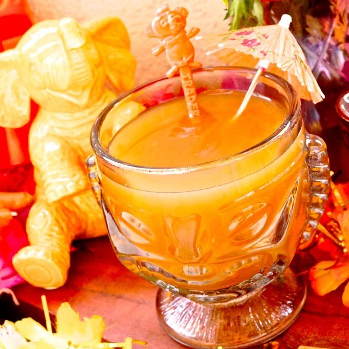 Apple Cider Punch cocktail