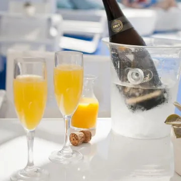 Mimosa