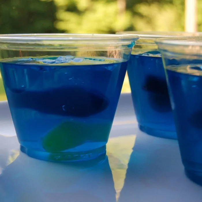 National Aquarium cocktail